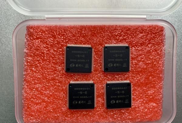 理器芯片设计|国科大本科生9个月设计出64位RISC-V处理器芯片