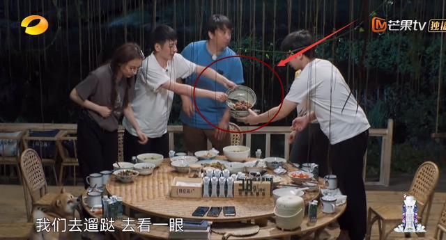 对不起|张子枫公开处理剩菜,看完3个步骤懵了,原来都欠黄磊一句对不起