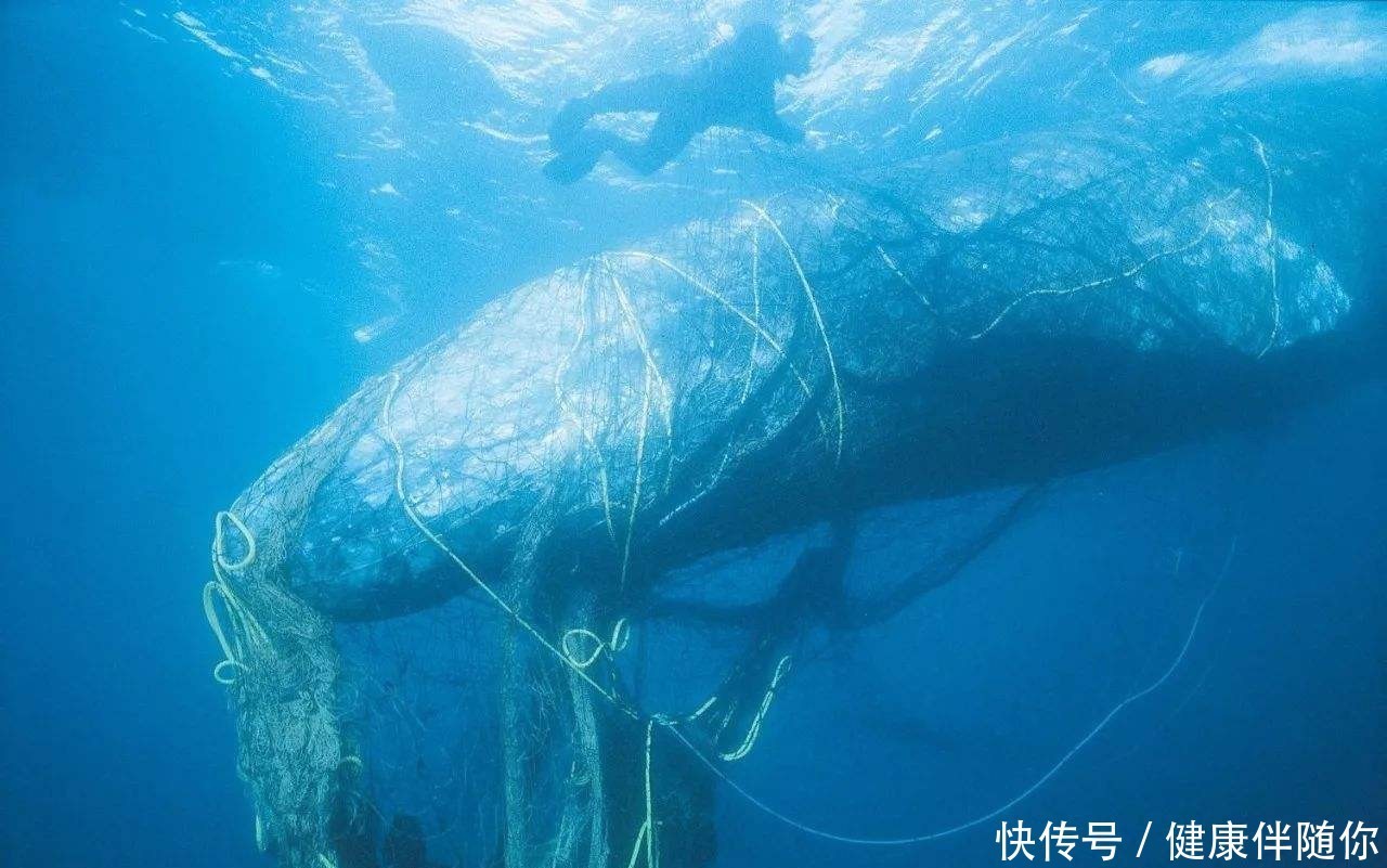 核电站|为了省钱日本犯下大错,不惜得罪全世界,将百万吨核废水排向大洋