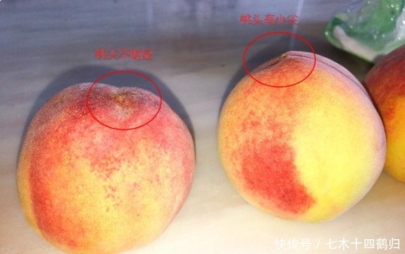  催熟|买水蜜桃挑硬的还是软的？果农教你3个小窍门，避免买到催熟桃