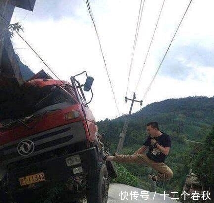  兔子|搞笑段子趣味图片:猫咪和兔子，傻傻分不清啊，哈哈哈