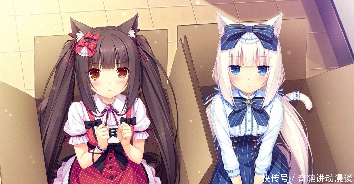 猫咪|想让猫咪变成人?变是不可能的,但画师可以将其画出来!