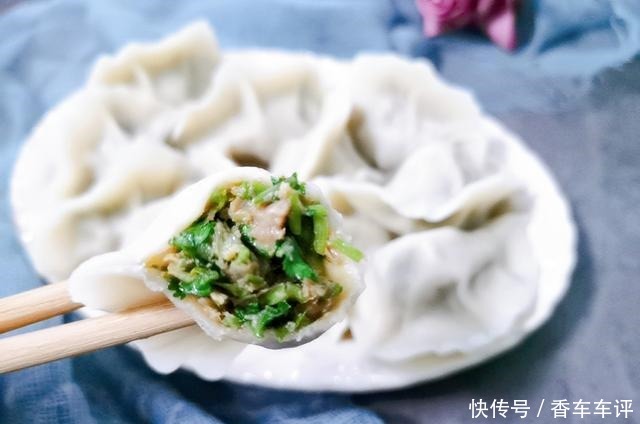 香菜的朋友|包香菜馅饺子时,切记2个要点,很多人不懂,难怪饺子不鲜也不香