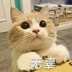 男童|女医生泳池内被13岁男童性骚扰，事后被人肉，导致自杀网友怒了