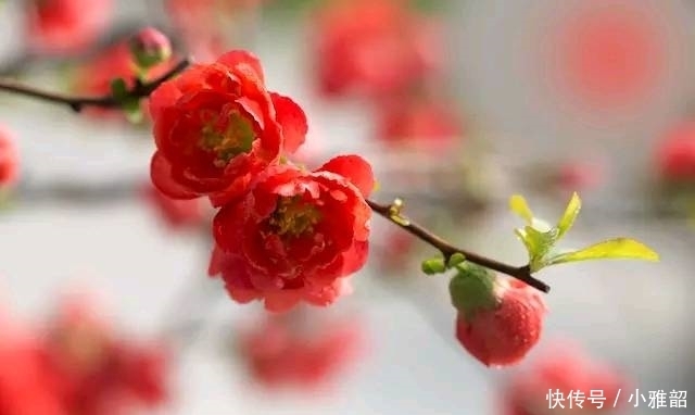 妻子|是女人心目中的理想丈夫的3生肖男,责任心强,懂得体贴妻子