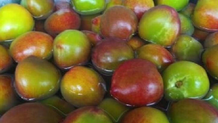 酸甜|夏天,此果正当季,3块钱1斤,补血益气,腌起来酸甜脆爽,好吃