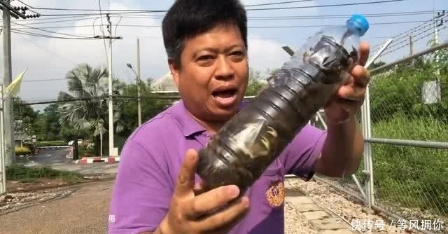 大叔|大叔塞15只活螃蟹到容器,1个月后,大叔乐坏了