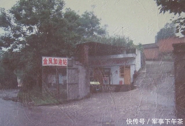 空军高炮十|如何去爱,读格里克还是学重庆女人陈少红?