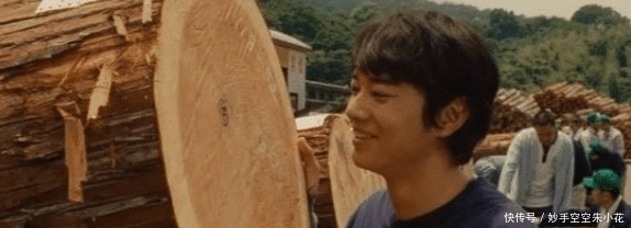 砍树|日本从不砍树,96%的筷子纸巾都来源于中国,时隔15年如今怎么样了?