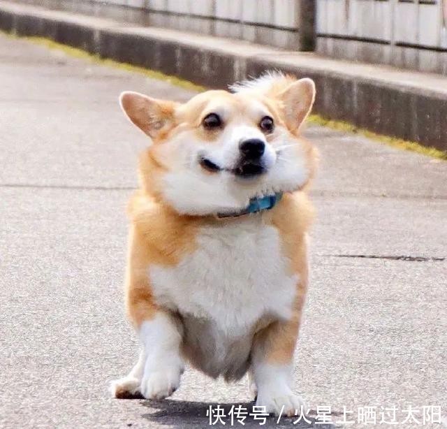 换上|50张幸运头像|换上必有好运