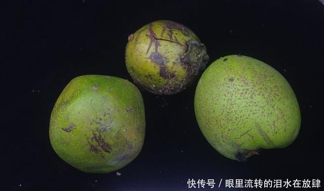 哪种|水果界的“李佳琦”,吃遍3000多种水果,哪种最好吃