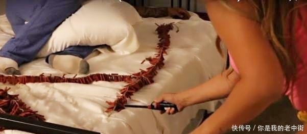 还击|男子用蟒蛇恶作剧女友，女友用8000响鞭炮还击