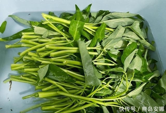 回来|怎么炒空心菜脆嫩入味?大厨:教你6个小窍门,炒出来包你好吃