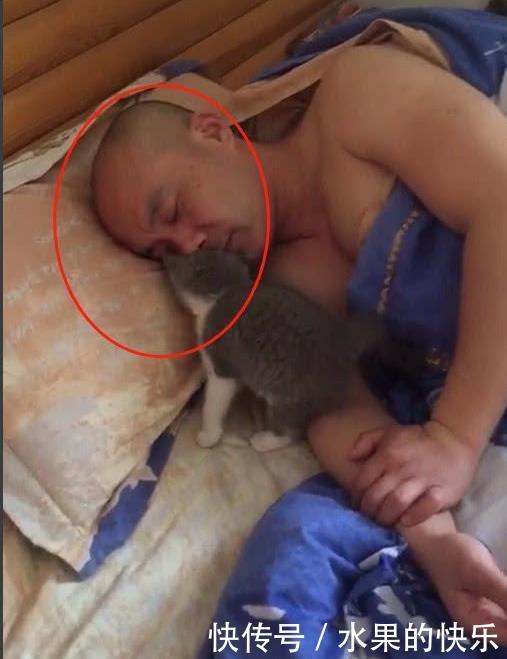 钻进|小猫钻进主人的被窝,结果主人的表情笑喷了,猫:你不爱我了吗?