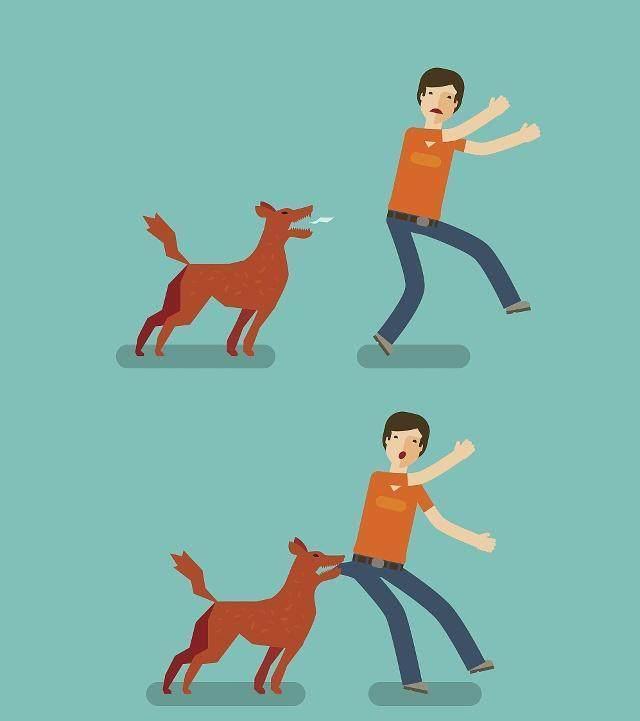  咬伤|怎么办？孩子被宠物咬伤了！