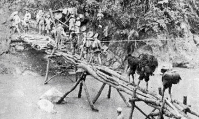 五军|杜聿明入缅作战失利败走野人山,士兵们杀战马充饥,女兵情况最惨