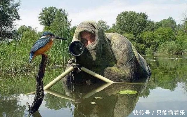 程度|十张境界高到一定程度的图片。