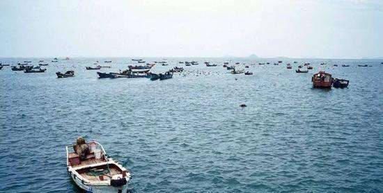 捕捞|为什么带鱼要进口,而不在东海和南海自己捕捞今天算长见识了