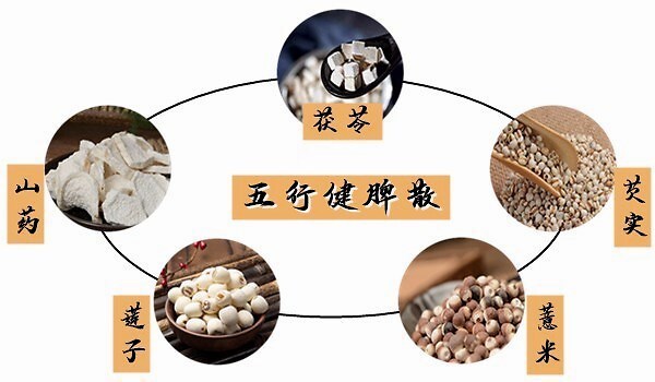 早餐|大白话说中医第七十五期|五脏之母是脾胃,七味早餐来防卫