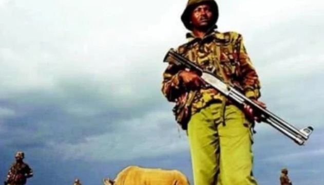 特种兵|全球独一只,24小时被特种兵持枪保护,如今怎么样了?