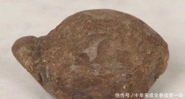 细说|狗贩子为何喜欢高价收购十年以上的老狗?细说你不知道的三点秘密