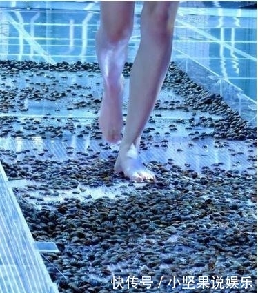 摆满|模特大赛的舞台上摆满了活虫, 光脚走秀的女孩们直接踩过去, 可怜的虫子被踩爆浆