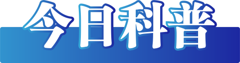 t11508c75c8e2a7aa91df570300.png?size=481