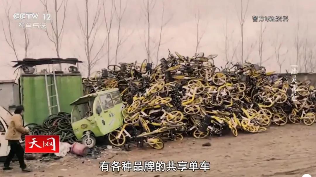 t11508c75c8fe7436a2fa1607a7.jpg?size=108