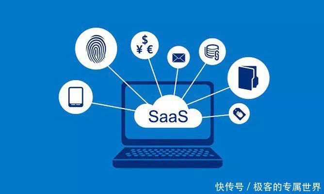 SaaS系统开发